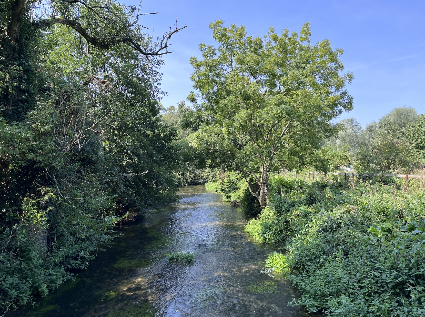 Wylye